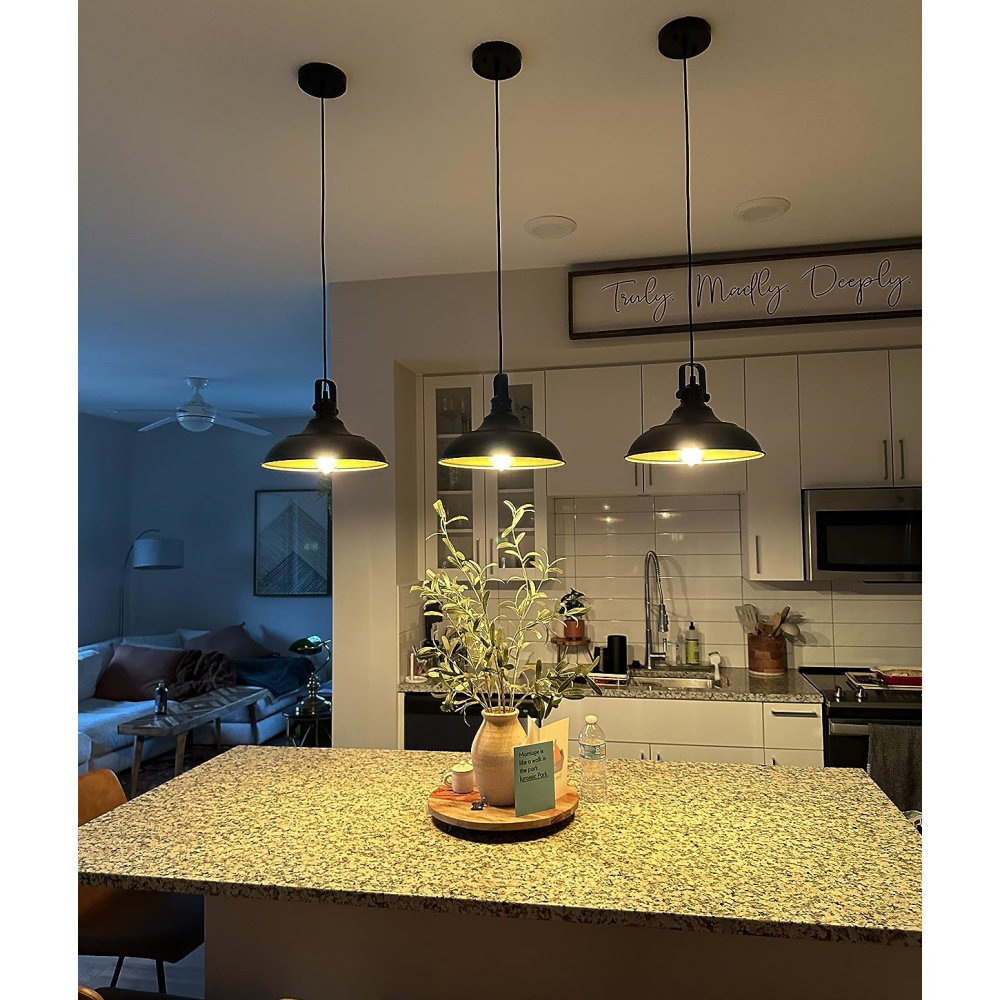 Mercer41 Luminaire suspendu Farmhouse - Wayfair Canada