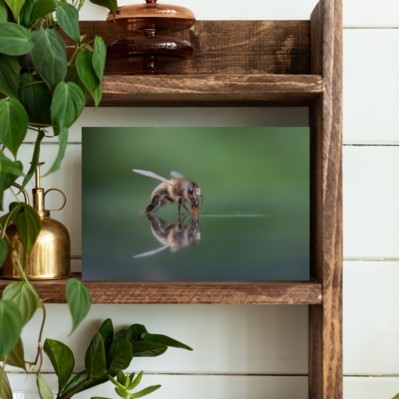Bee Drinking Reflection Delicate Peaceful Bee Nature Wildlife Wall Art Print 1 Piece Wrapped Canvas Wall Art