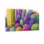 Plantes et fleurs, impression de jardin de cactus colorés Z251224084240944392-1619293431