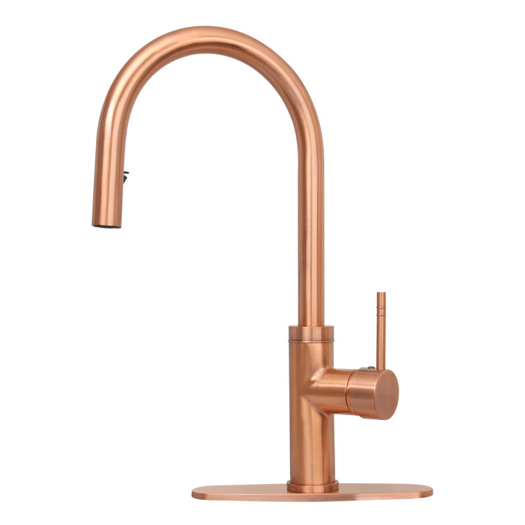 Pull Down Kitchen Faucet with Single Handle and Deck Plate