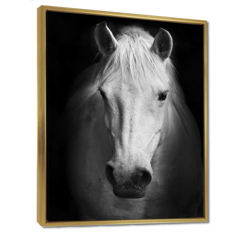 Cheval, reproduction d'art sur toile, cheval noir et blanc, H 32 po x l 24 po, Reproduction avec cadre flottant, Doré