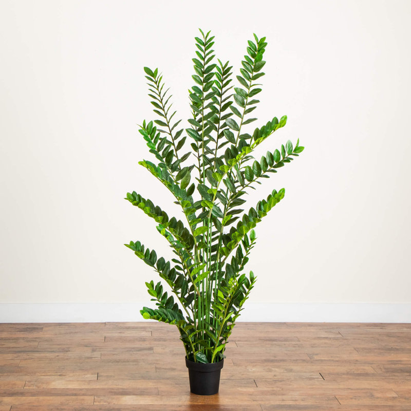 Zamioculcas artificiel, H 72 po x l 16 po x P 16 po