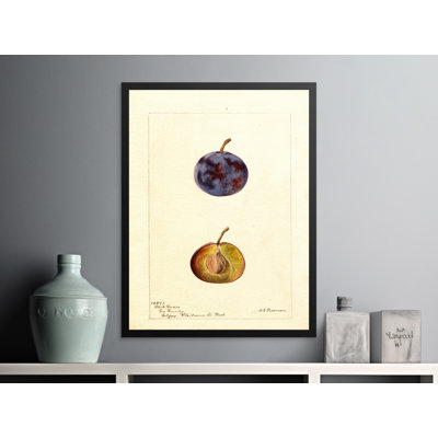 Vesperina No Frame Print