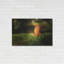 «Leaf And Ant» par Philippe Sainte