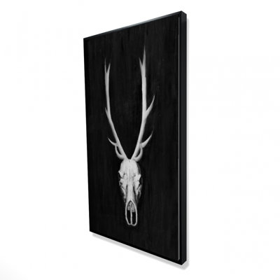 " Deer Skull On Black Background "