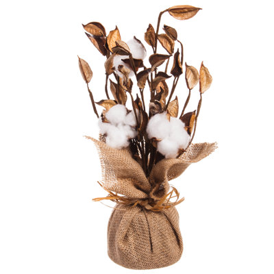 Cotton Arrangement