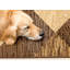 Tapis beige Faira-107120072