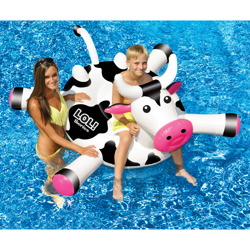Pool Float Cover