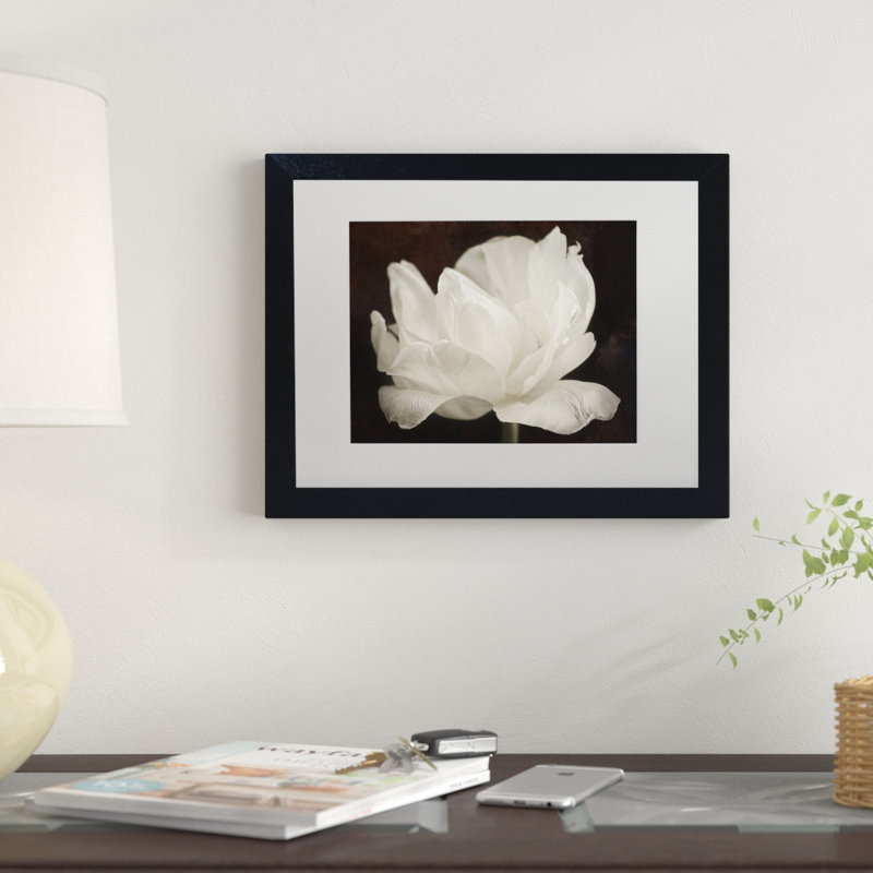 « white tulip iii », reproduction de photo sur toile encadrée, H 11 po x l 14 po x P 0,5 po, Noir