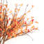 Arrangement de brindilles de bois-1933031926