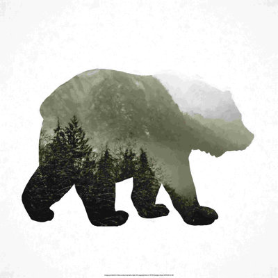 Ours de forêt