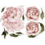 Ensemble d'adhésif décoratif bouquet de pivoines 11 pièces