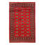 Gaurika Oriental Area Rug