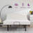 Wayfair Sleep 15" Basic Adjustable Base with Wired Remote and Head Adjustment-1971578806