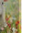 Lamb Canvas Wall Art
