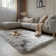 Indoor Rug