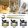 52'' Smart Ceiling Fan with Remote Control and Light Kit Included