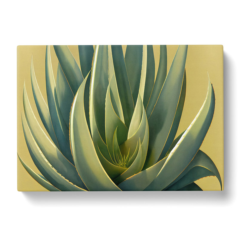 Lush Aloe Vera Plant - Wrapped Canvas, 35cm H x 50cm W x 3cm D