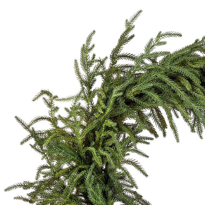 Couronne 24 po Norfolk Just Cut