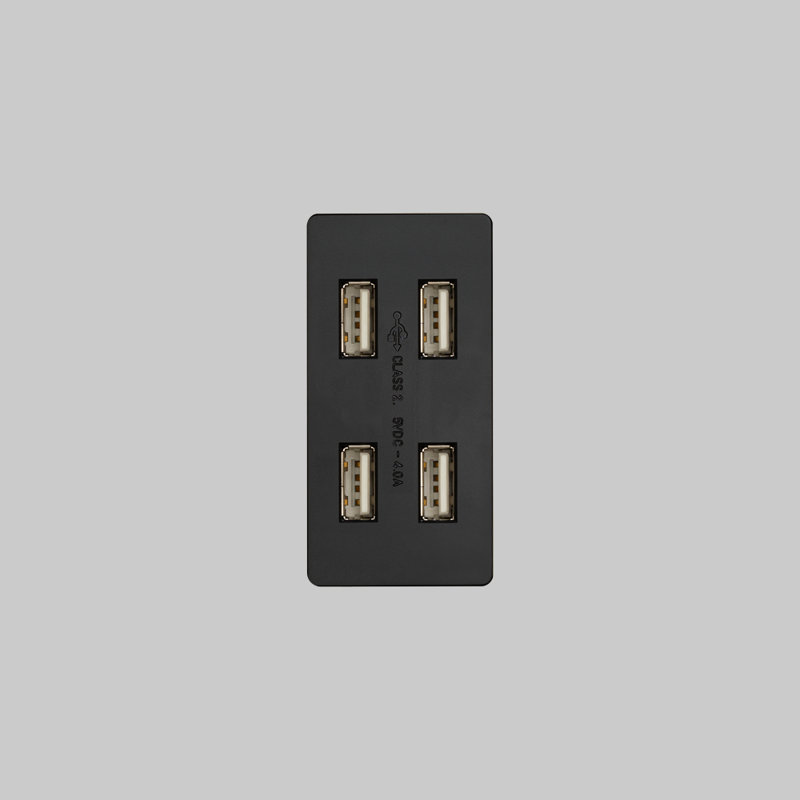 Outlet Module / USB / Black