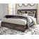Drystan Bookcase Storage Bed