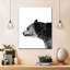 Tête d'ours monochrome-1575568902