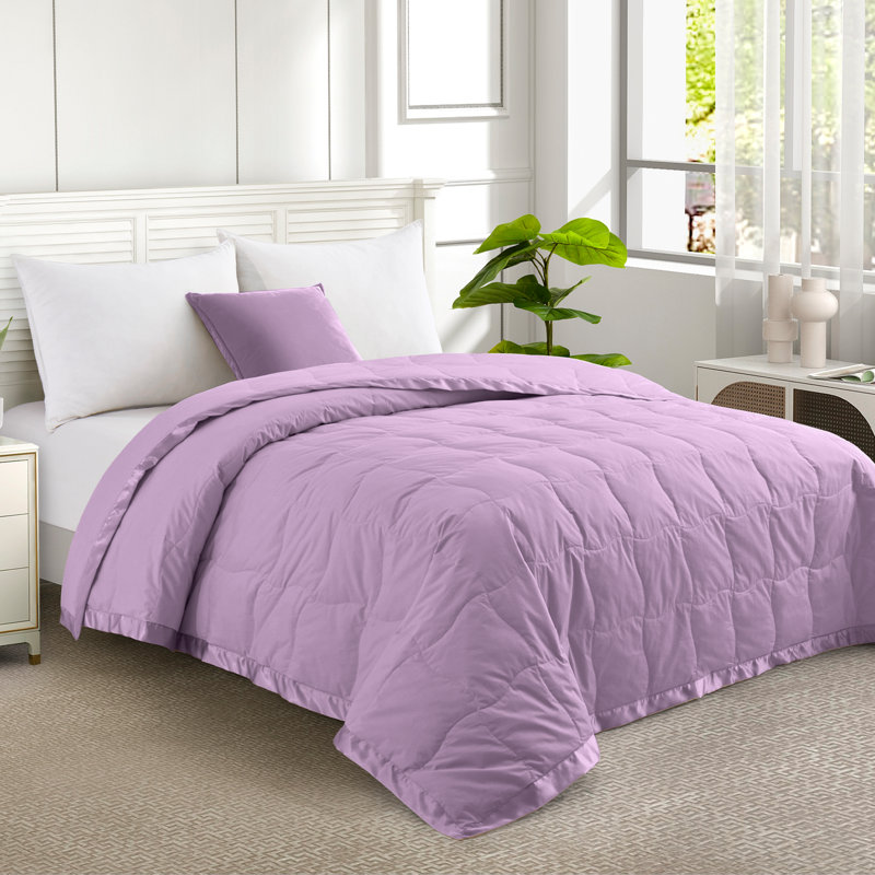  Surdimensionné en duvet de coton léger, Complète, Bleu ciel