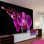 Wall Mural