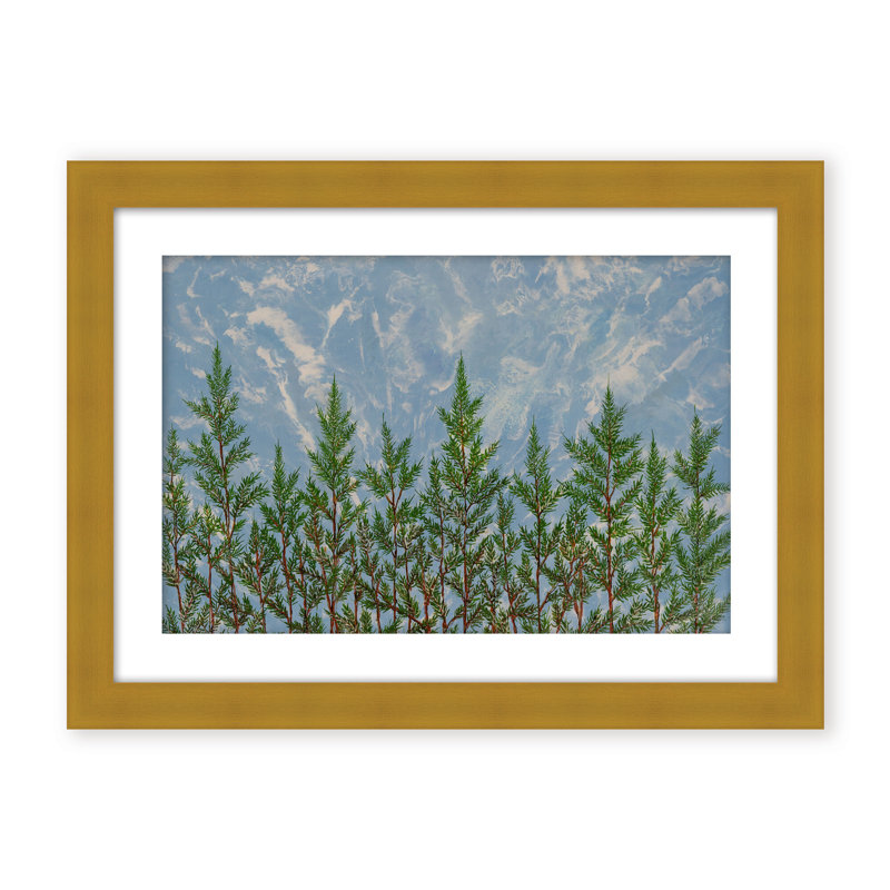 Nature Inspired "Reaching for the Sky" Canvas Wall Art By , 30" H x 40" W, Framed Matted Print, Gold