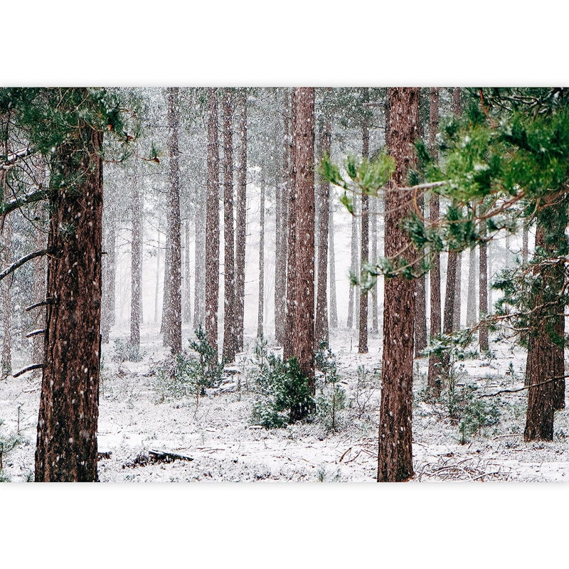 Murale de pins recouverts de neige en hiver, L 144 po x l 100 po