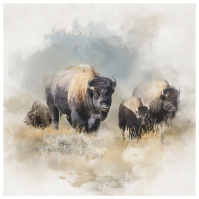 Bison Watercolor Art Canvas Gallery Wrap in Many Sizes