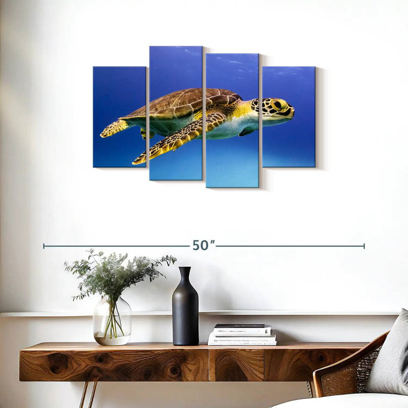 Jeune tortue imbriquée Brampt
