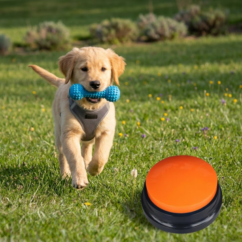 8-Colour Voice Recording Button Set, Dog Buttons for Communication Pet Training Buzzer, 30-Second Record & Playback, Funny Gift for Study Office Home