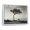Arbre de solitude noir et blanc avec horizon côtier