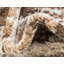 Oriental Area Rug-797386016