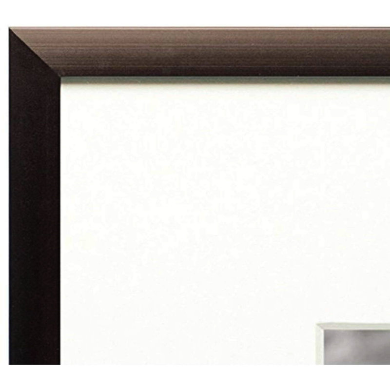 Cadre photo Ariaan, 1 cadre, 5 po x 7 po, Bronze