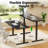 55" Glass Top Height Adjustable Standing Desk with Drawer and USB Charging, LED Display, and Mobile Phone Stand,Black-1519427645-1519427647