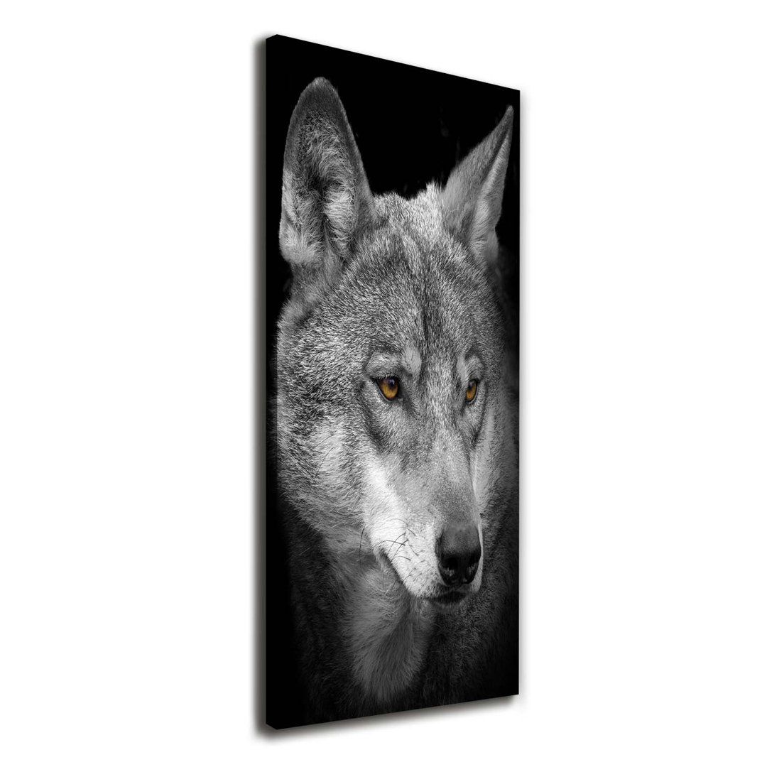 Porträt eines Wolfes - Kunstdrucke auf Leinwand - Wrapped Canvas