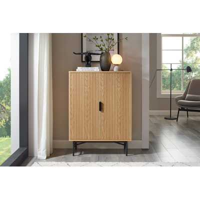 Janasha 2 -Door Accent Cabinet