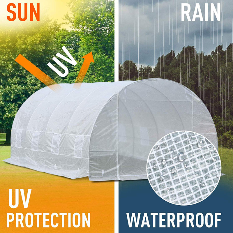 Large White Galvanized Steel Frame Greenhouse with Polyethylene Panels