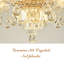 Morningside 6 - Light Chandelier