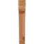 Attelle impériale du genou-31229295-29309856-31229279