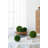 6.5 " H Faux Foliage Topiary