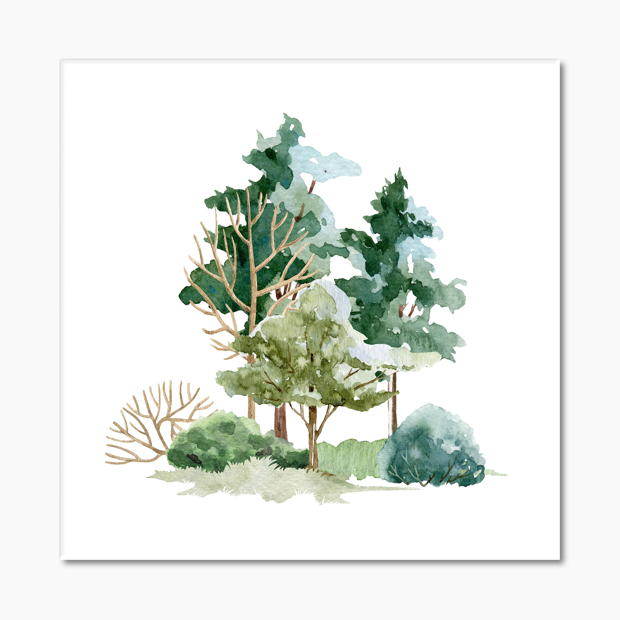 East Urban Home Trees Bush And Meadow On White - Traditional Canvas ...
