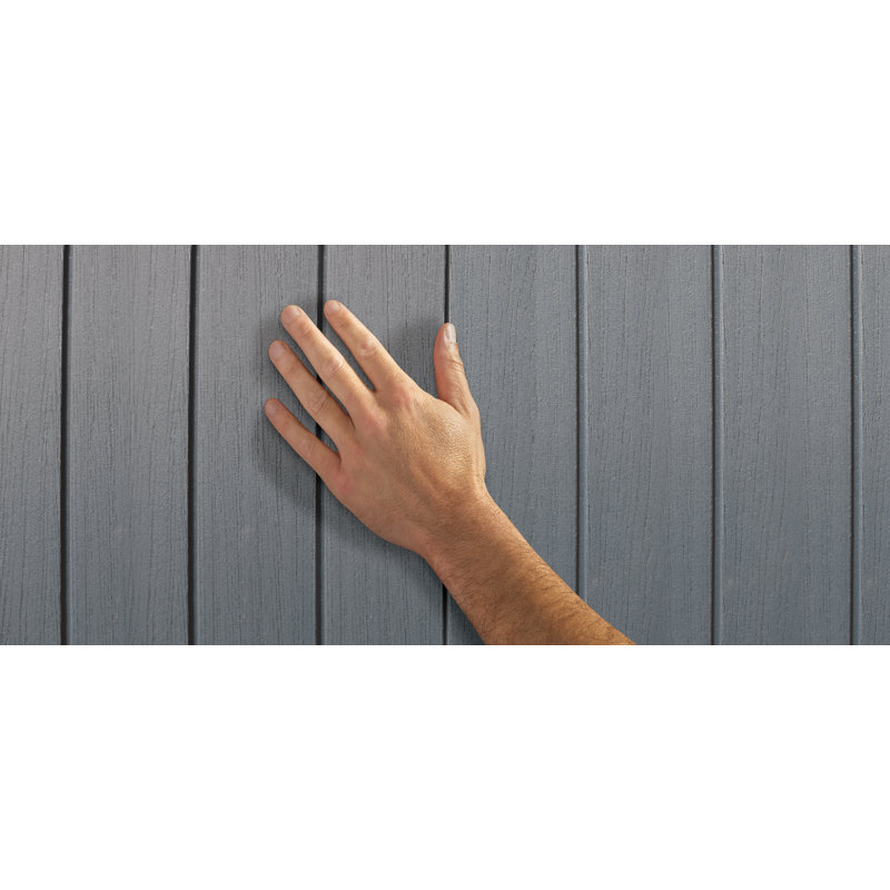 Graphite 6' x 8' Outdoor Storage Shed with Windows