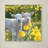 Armand 'Lambs' Print on Canvas-21649514