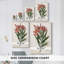 Rose Laurier - Cavas enveloppés de galerie-2036282679