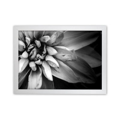 Flower Petals I 1 Piece Wall Art