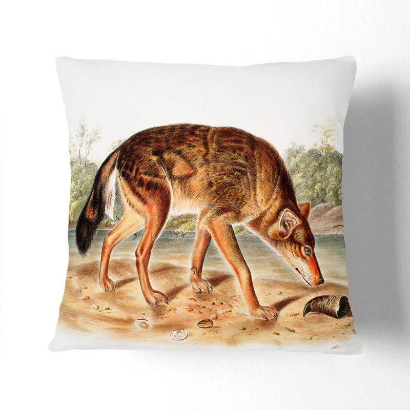 Square Throw Cushion, 55cm H x 55cm W x 20cm D