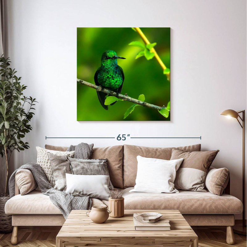 Colibri perché émeraude Brampt